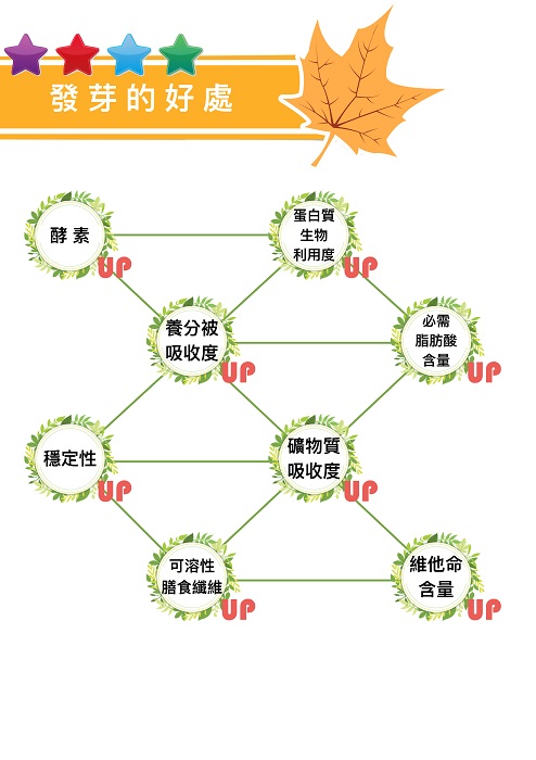 Organic Traditions有機發芽藜麥5.jpg