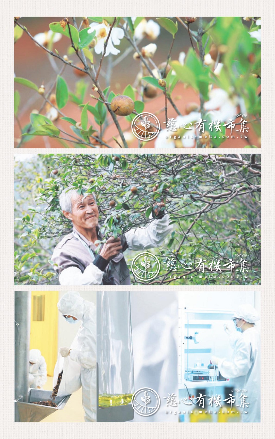 蓮淨白玉清潤茶油手工皂04.jpg