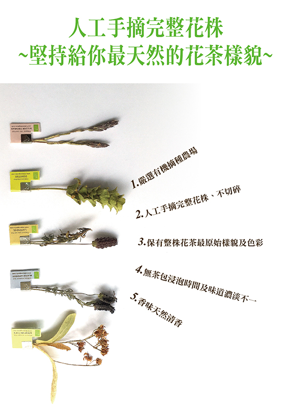 維格米雅有機洋甘菊茶4.jpg