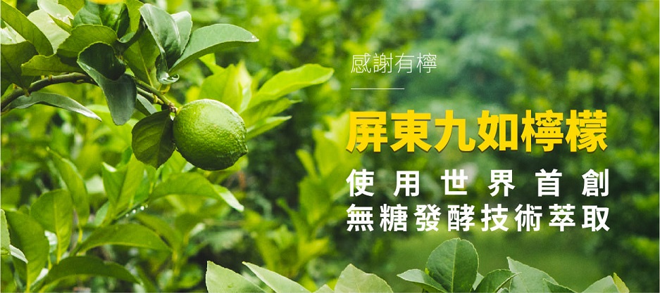 達觀國際萃多酚潤喉糖3.jpg