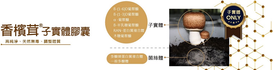 1532401424990152.jpg 樂活生技極萃香檳茸滋養液Shampignon Essence(15入)9.jpg